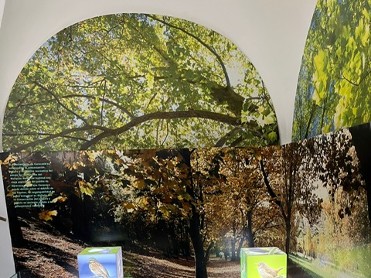 CENTRO DE INTERPRETACI�N DE LA NATURALEZA FUENTES DEL MARQU�S