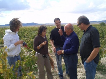 BODEGAS CASTA�O
