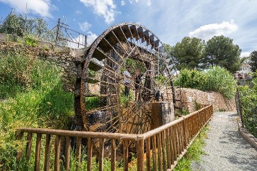 NORIA DE CANDEL�N 