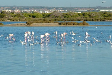 PARQUE REGIONAL SALINAS Y ARENALES DE SAN PEDRO