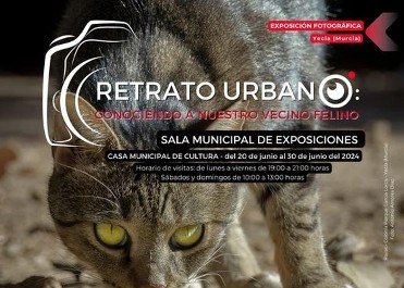 Retrato Urbano: Conociendo a nuestro vecino felino