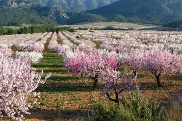 DESCUBRE LA FLORACIN DE MULA EN BICICLETA