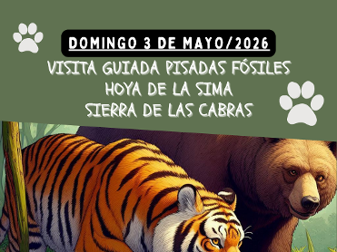 PISADAS F�SILES