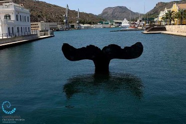 LA COLA DE BALLENA