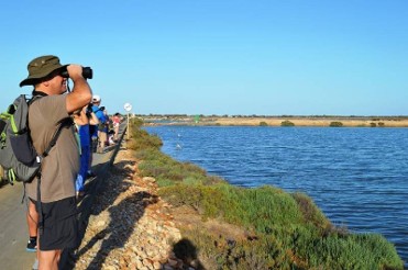 JUNE 8 FREE BIRD-SPOTTING WALK IN THE SALT FLATS OF SAN PEDRO DEL PINATAR JUNE 8 FREE BIRD-SPOTTING WALK IN THE SALT FLATS OF SAN PEDRO DEL PINATAR