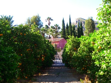TOUR DE LOS CITRICOS