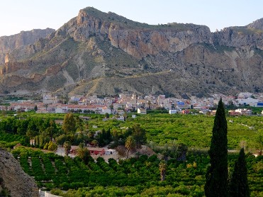 TOUR DE LOS CITRICOS
