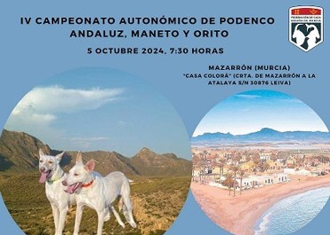 Campeonato Autonmico de Podenco Andaluz, Maneto y Orito