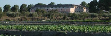 BODEGA TERCIA DE ULEA