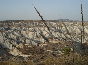 GEBAS: PAISAJE Y CULTURA