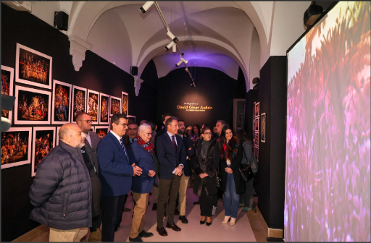 MUVIC. MUSEO DEL VIACRUCIS. PASO MORADO