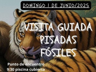 JUNE 1 GUIDED WALKING TOUR OF THE FOSSIL FOOTPRINTS OF HOYA DE LA SIMA, JUMILLA JUNE 1 GUIDED WALKING TOUR OF THE FOSSIL FOOTPRINTS OF HOYA DE LA SIMA, JUMILLA