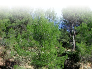 PARAJE NATURAL LA PUERTA