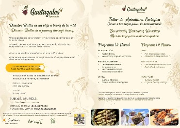 EXPERIENCIA DE APICULTURA EN BULLAS