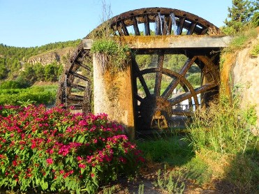 NORIA DE LA HOYA DE DON GARC�A