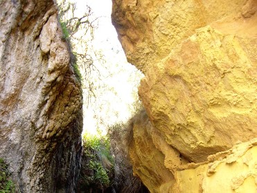 ESTRECHO DE LA ARBOLEJA