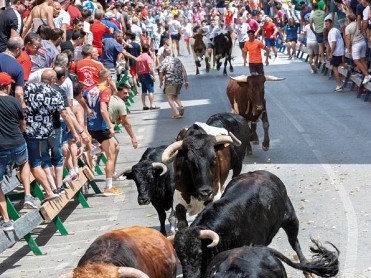 AUGUST 8 TO 15 THE BULL RUNS OF BLANCA