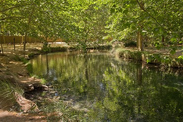 PARAJE NATURAL FUENTES DEL MARQU�S