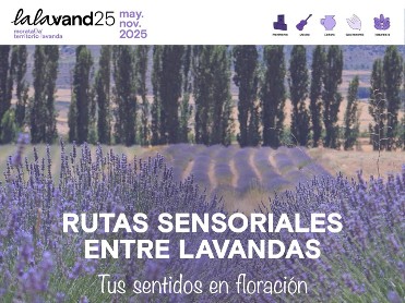 LALAVAND 2025: RUTAS SENSORIALES ENTRE LAVANDAS