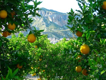 Tour de los citricos