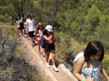 Birding en familia, ruta para el avistamiento de aves en sierra espu�a