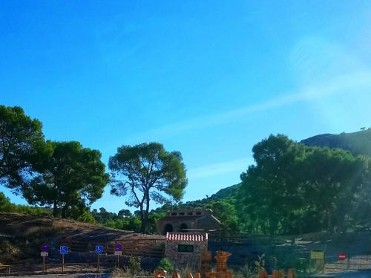 SENDERO BOT�NICO DE SANTA ANA, SENDERO AZUL (JUMILLA)
