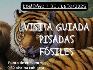 PISADAS FSILES