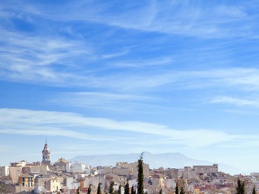 Floraci�n