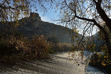 Archena naturalmente