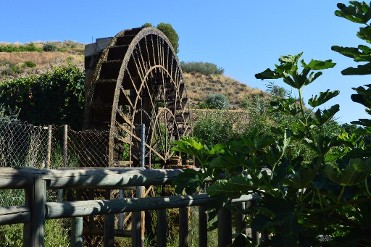 LA �ORICA 