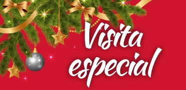 VISITA GUIADA ESPECIAL AL CASTILLO: NAVIDAD, AO NUEVO, REYES.