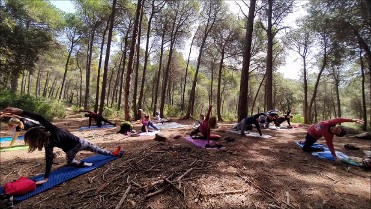 Yoga y naturaleza, la combinación perfecta