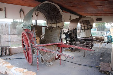 MUSEO ETNOGR�FICO DEL CAMPO DE CARTAGENA