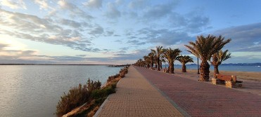 PLAYA DE LA MOTA