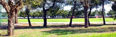 PARAJE DE LA RAFA