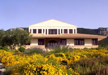 Casa de la Ermita. Ac�rquese a la cultura del vino