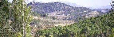 PARAJE DEL PORTUGAL�S - VENTA DEL PINO