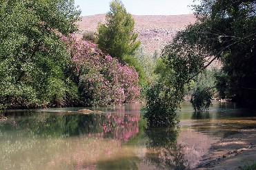 SOTOS Y BOSQUES DE RIBERA DE CA�AVEROSA