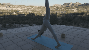 YOGA AL ATARDECER ENTRE LIMONEROS+DEGUSTACI�N DE LIMONADA Y GRANIZADO NATURAL