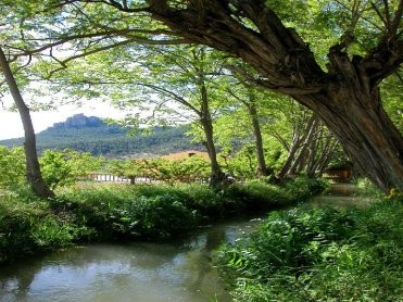 Acequia de La Andelma
