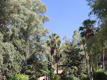 PARQUE MUNICIPAL