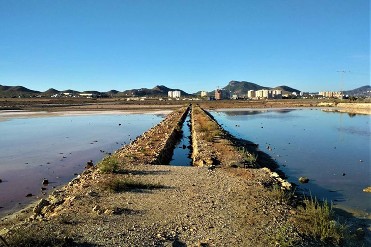 SALINAS DE MARCHAMALO