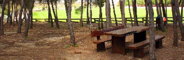 PARAJE DE LA RAFA