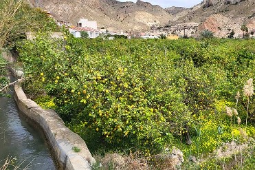 HUERTAS DE OJ�S
