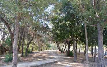 PARAJE EL CA�O