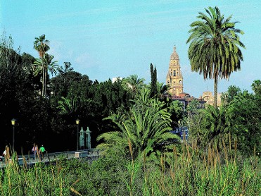 PASEO DEL MALEC�N