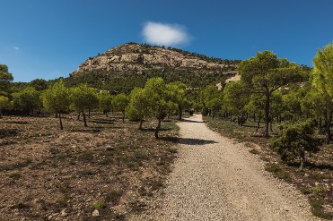 MONTE ARAB� AL ATARDECER Y CATA EN BODEGAS CASTA�O 