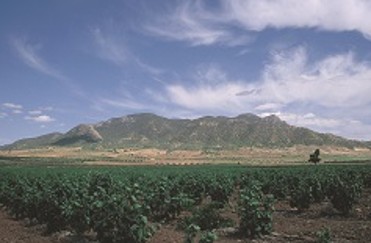 PARQUE REGIONAL SIERRA DEL CARCHE