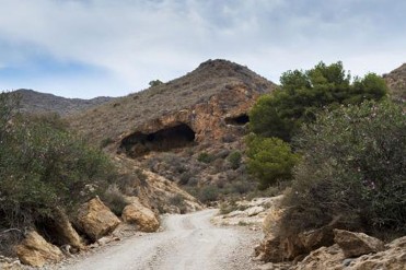 SENDERO EL ALAMILLO - LA ALAMEDA - LAS BALSICAS