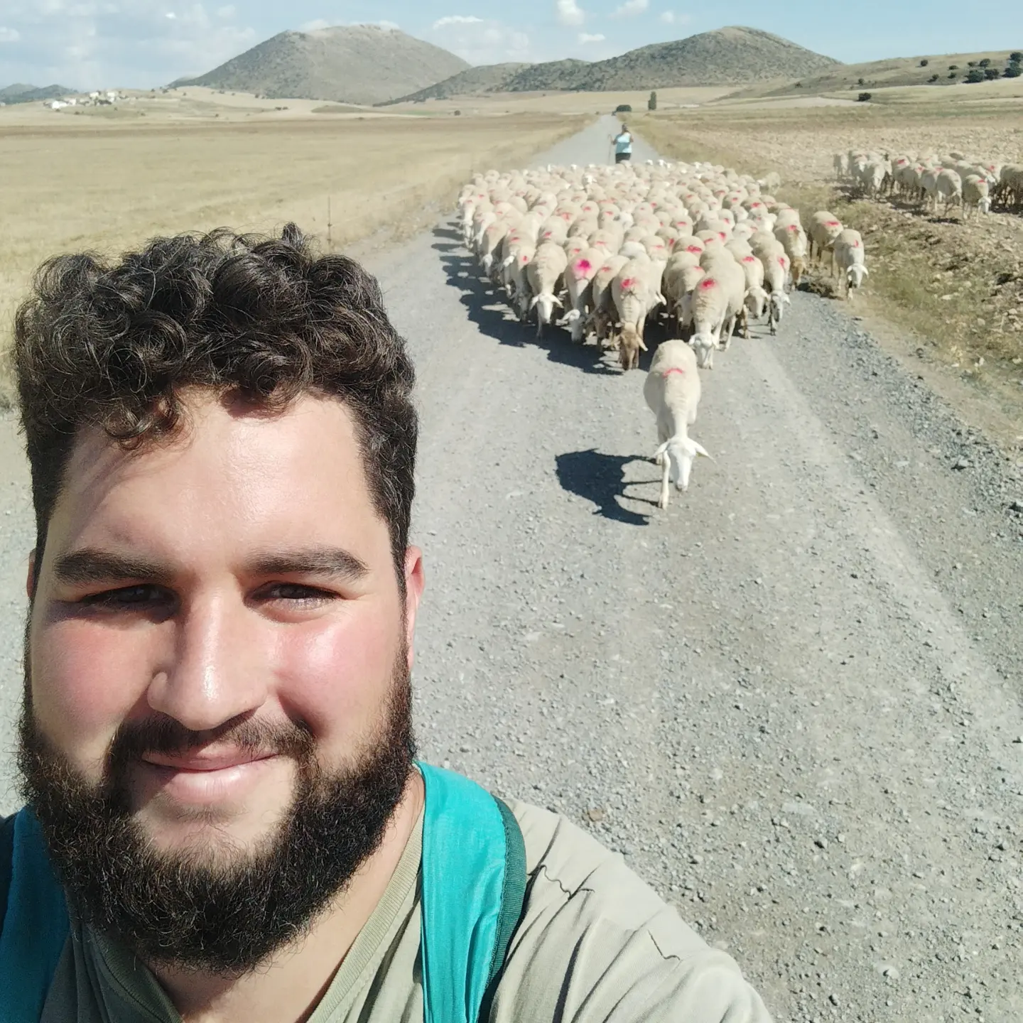 Conctate entre ovejas con Alfonso&lola en casero 